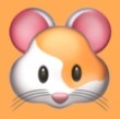 WWW,904se·COM网站APPAPP应用