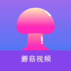 WWW,536se·COM网站APPAPP应用
